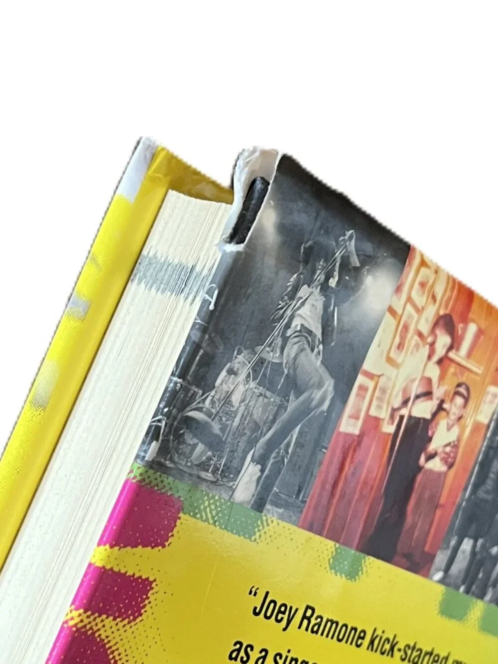 I Slept with Joey Ramone, A Family Memoir by Mickey Leigh with Legs McNeil
